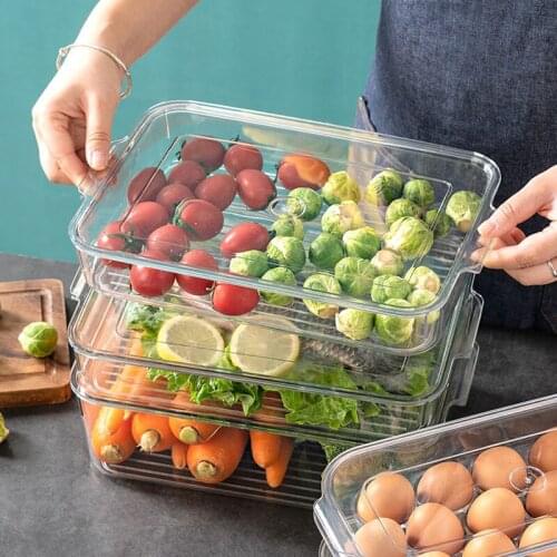 Pet Refrigerator Food Storage Containers With Lid Kitchen Separate Freezer Seal Bin For Vegetable Fruit Meat Fresh Box Organizer