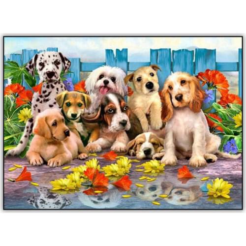 Colorful 5d DIY Diamond Painting Kit Animal Dogs Foto Full Drill Square Diamand Painting Crystal Mosaic Embroidery Accessories