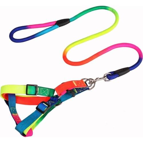 2020 Summer New Dog Leashes Harness Sets Breathable Rainbow Color Small Size Nylon Leads For Puppy Cat Pet Product Supplier