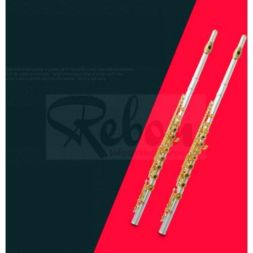 Weifang Rebon Cheap gold-plated C key 16 Holes Flute