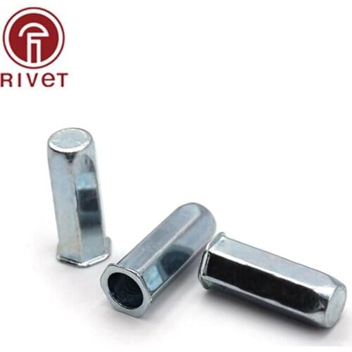 M4/M5/M6/M8/M10 Sealed Full Hex Small Countersunk Head Rivet Nut Close End Blind Rivet Nut Carbon Steel Insert Nut Fastener 10PC