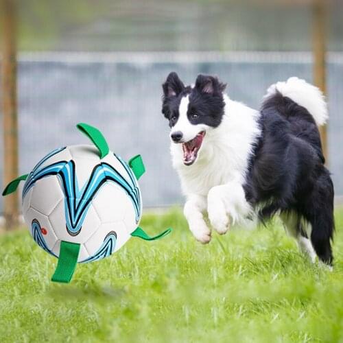 Dog Toy Soccer Ball Outdoor Training Interactive Pet Bite Chew Ball Toys Soccer And Inflator Dog Toys