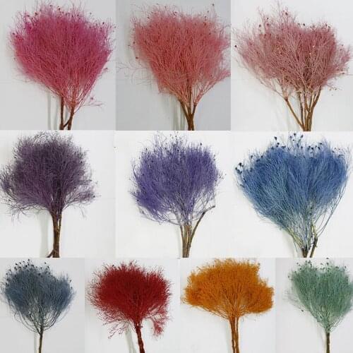 1 bouquet Asparagus Eternal Flower Dream Grass Plants DIY Craft Gift Box Decor Material Dried Flowers Home Floral Arrangement