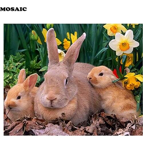 Full Square Diamond Painting Dutch rabbit,5D DIY Cross Stitch 3D picture,Diamond Embroidery animal Mosaic puzzle toy