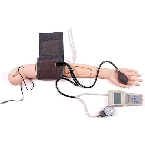 Advanced Arm Blood Pressure Measurement Training Simulator Nursing Model For Patient Education And Teaching