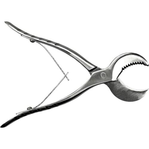 16cm Dental Plaster Scissors Dentist Instrument Tools Small Gypsum Plaster Shears Stainless Steel Material