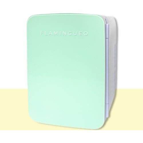 Flamingueo Mini Fridge 10L Makeup Fridge 12V/220V Cooler and Warmer Mini Fridge Cosmetic Beauty Fridge Skincare Fridge Mini Fridge for Room