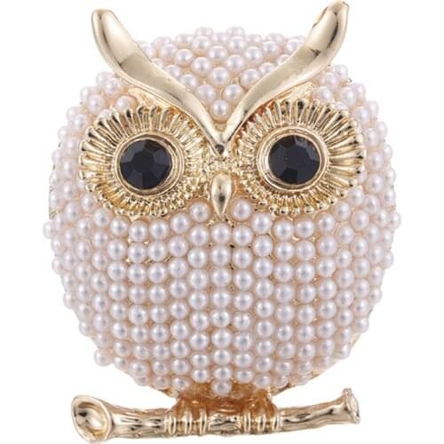 Blue Eyes Enamel Pins Rhinestone Couple Owl Brooch Animal Brooches For Women Men Clothes Scarf Buckle Collar Jewelry Pins