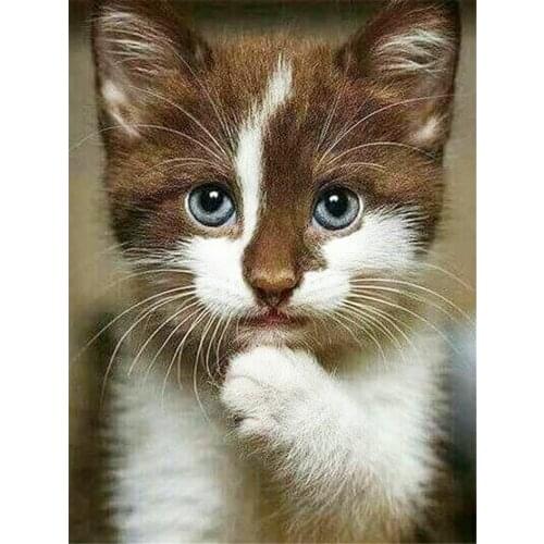 Animal Cat Printed 11CT Cross-Stitch DIY Embroidery Patterns DMC Threads Sewing Painting Needlework Hobby For Adults Mulina