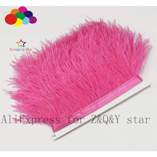 Z&Q&Y natural beautiful ostrich hair dyed light plum red made cloth side performance clothing decoration DIY crafts feather