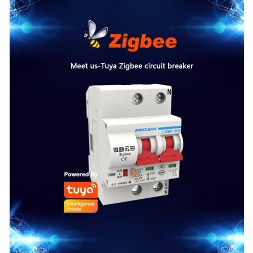 Tuya Zigbee 3.0 Smart Air Switch 1P/2P 220V Circuit Breaker APP Remote Control IoT Air Switch Work With Alexa Echo Hub Needed