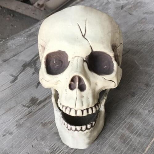 Creepy Plastic Open Mouth Skull Skeleton Haunted House Decor Halloween Prop