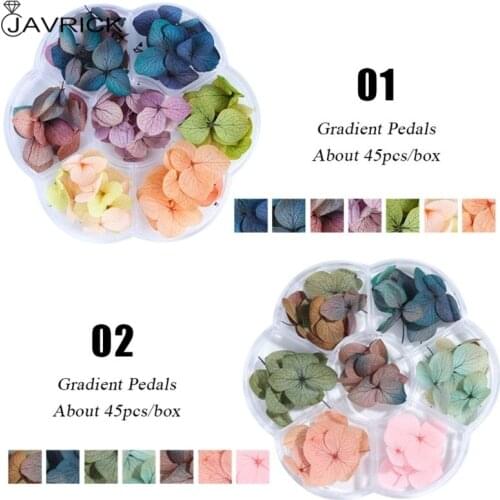 Dried Flowers DIY Epoxy Resin Handmade Crafts Filling Materials