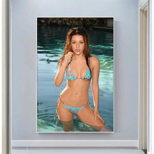 Silk Cloth Wall Poster Elena Satine Art Home Decoration Gift