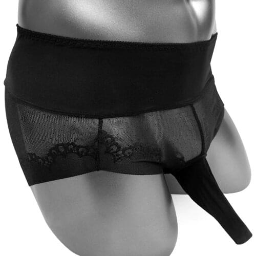 Thin Sheer Sissy Pouch Panties With Penis Sleeve See Through Sissy Panties Mens Briefs Underwear Sexy Gay Lingerie Underpants