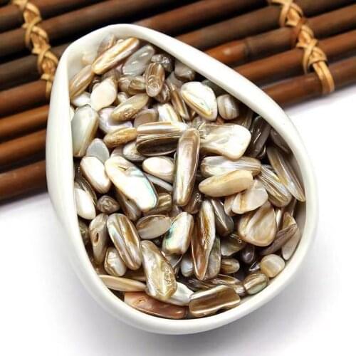 Natural Shell tumbled stones Irregular quartz minerals fossils reiki healing fish tank decoration