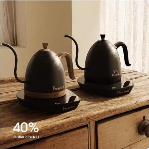 Brewista Artisan constant temperature 600ml gooseneck variale temperature control 220V kettle coffee pot
