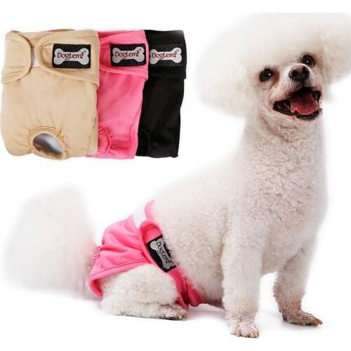 100Petcent Briefs For Dogs