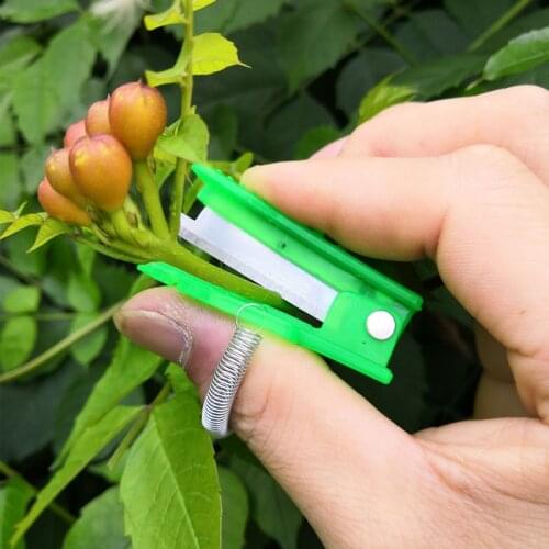 Thumb Knife Safe Fruit Blade Tool Garden Pruner Fruit Picking Device Blade Tool Rings Cutting Blade jardim apanhador de fruta
