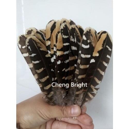 Wholesale perfect 50pcs Rare natural Reevess Pheasant feathers 15-20cm Decorative diy