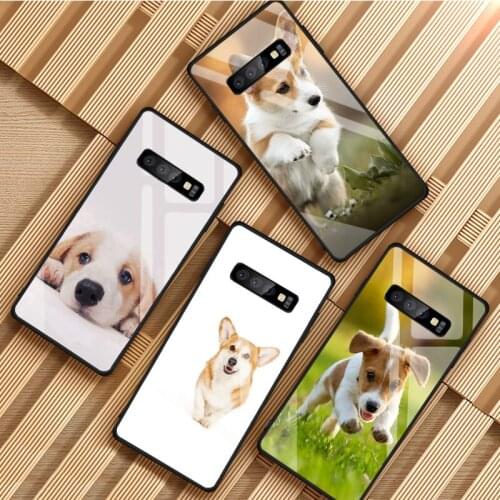 Corgi dog Tempered Glass Phone Case For Samsung Galaxy S8 S9 S10 S20 PLUS J8 J6 J4 2018 NOTE 8 9 10 Cover Shell