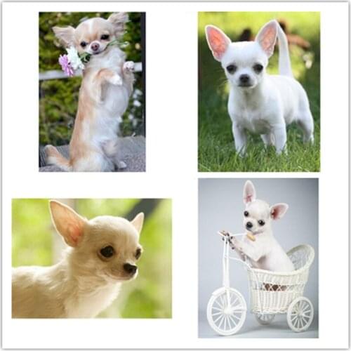 New DIY Diamond Painting chihuahua Dog Cute Pet Cross Stitch patterns beads Embroidery diamant full rhinestone kits Mosaic Decor