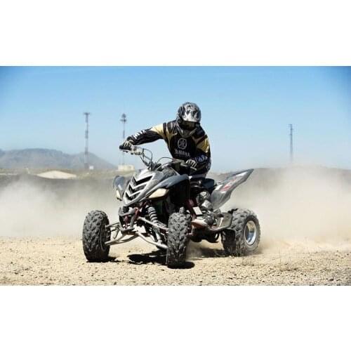 Quad off Road Motorbike 2 Silk Fabric Wall Poster Art Decor Sticker Bright