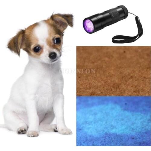 DHL 200PCS Professional Fluorescent Agent Detection UV 395nm Led Flashlight Torch Lamp Purple Violet Light For 3AAA