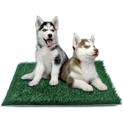 Pet Artificial Grass Mat Dog Area Landscape Lawn Toilet Synthetic Turf Cat Puppy Potty Training Pad Supplies