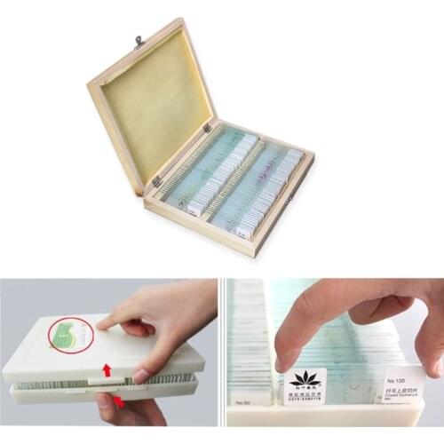 K1KA Microscope Slides 25/50/100 Pcs-Microscope Slides Prepared With Lab Specimens Biological Sample with Insects Plants