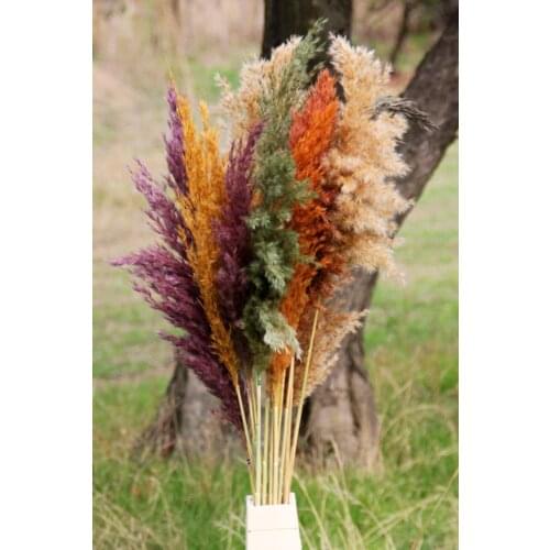 Dried Flower Pampas 15 Pieces 100 Cm Length - Mixed