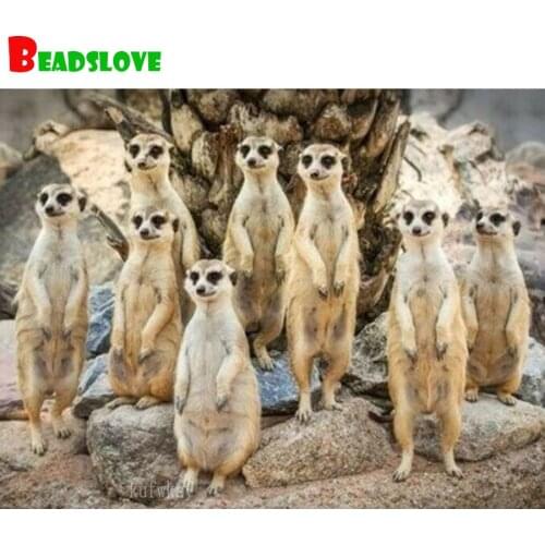 5D diy Diamond painting diamond mosaic Mongoose family africa animal Diamond Embroidery full drill square round rhinestones gift