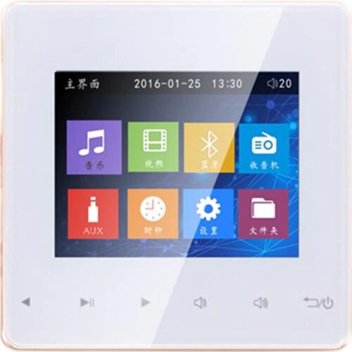 Bluetooth Smart Control Music System Ceiling Speaker Modules Home o System Digital Stereo Amplifier in Wall for Hotel