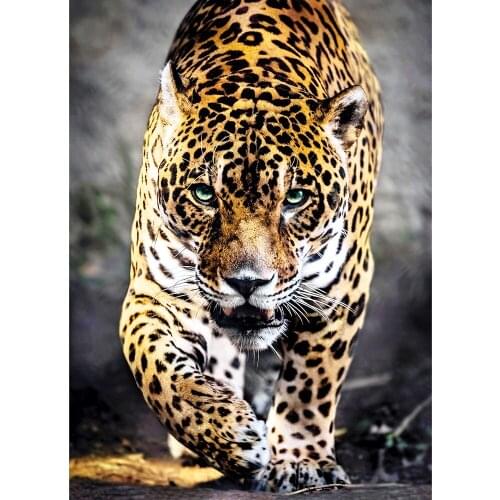 KEXINZU Full Square/Round Drill 5D DIY Diamond Painting "Animal leopard" Embroidery Cross Stitch 5D Mosaic Home Decor Gift Y0343