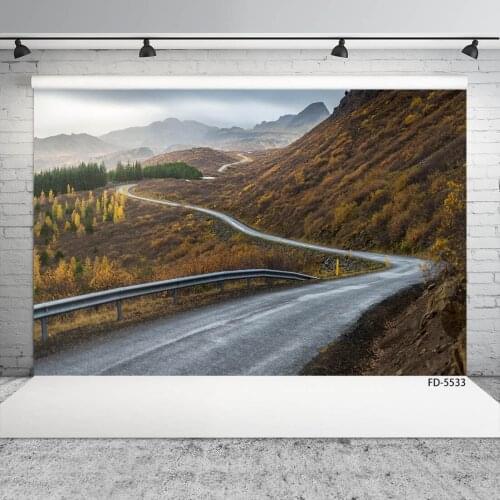 Highway Mountains Trees Photographic Background Customized Fond Backdrops for Baby Children Portrait Photoshoot Photo Studio