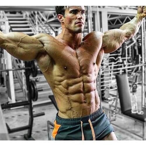 New Summer Fitness Shorts Brand Mens Sporting Thin Jogger Shorts Men Solid Short Pants Male Bodybuilding Workout Gyms Shorts