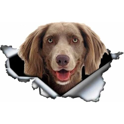 S50082# 13/15/17CM Personality PVC Decal Weimaraner V8 Waterproof Car Sticker on Motorcycle Laptop Decorative Accessories