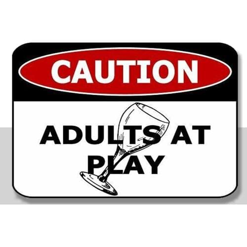 Caution Adults At Play 12 inch by 8 inch Laminated Funny Sign