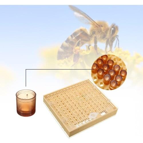 Bees Tools Cages King Queen Rearing Cup Kit System Box Bee Beekeeping Kit Nicot Complete Catcher Cups Cell Cage B7Q8