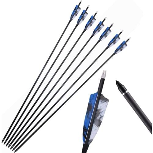 Carbon Arrows for Compound/Recurve Bow 32 Inch Mixed Carbon Arrows Spine 400 Archery Arrows for Outdoor Hunting Shooting