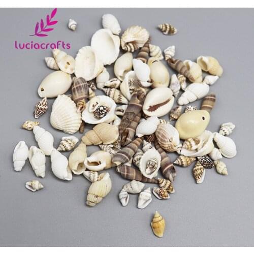Lucia crafts 50g (about 80pcs) Natural Beach Seashells ConchDIY Handicrafts Decor E1012
