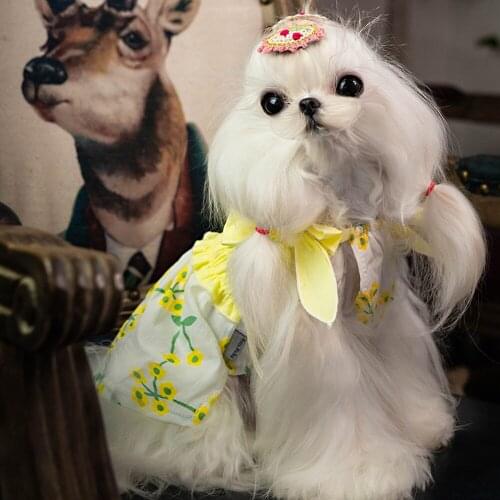 New Little Bomei Teddy Dog Skirt Lovely Flower Princess Yorkshire Pomeranian Maltese Poodle Bichon Schnauzer Dog Clothes