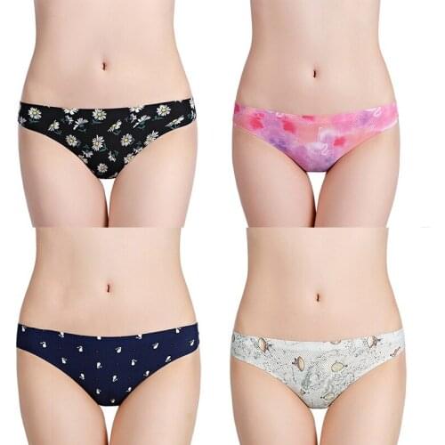 4 Pcs Panties Woman Underwear Sexy Breathable Soft Lingerie Female Briefs Panty Sexy Transparent Underpants XS-L Bikini Panty