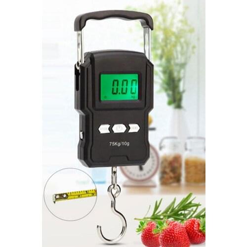 Mini LCD Digital Scale 75kg/165lb Portable Hanging Electronic Hook Scale for Fishing Luggage Travel Weighting Steelyard