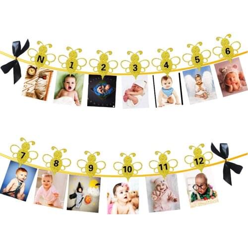 Happy Bee Day Monthly Photo Banner Bumble Bee First Year Picture Banner 12 Month Bee Photo Banner for 1st Birthday Decoration