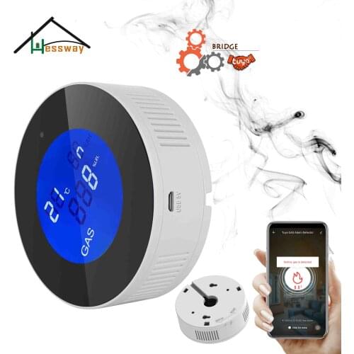 HESSWAY Protect family safety leak natural gas detector alarm for Linkage solenoid valve tuya smart devices switch