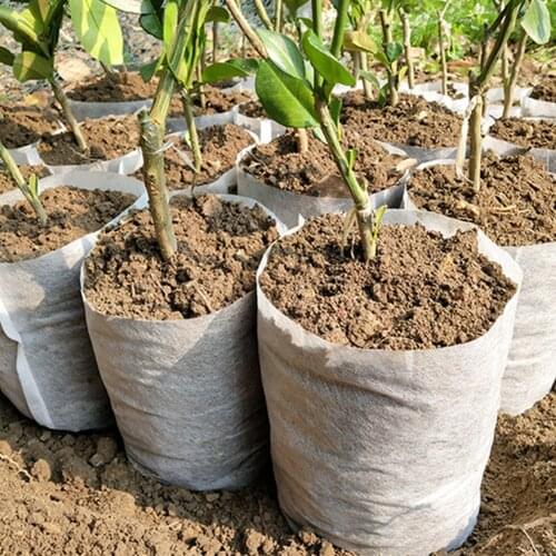100pcs / Lot Biodegradable Bags for Nursery Plant Pots for Growing Vegetable Pots for Garden Cultivation Nursery Plant