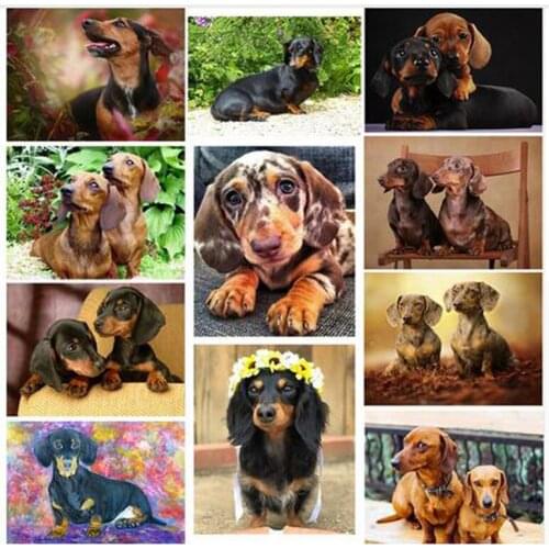 Diy 5D diamond painting Dachshund rhinestones full square diamond embroidery animal cute Dog cross stitch mosaic stickerZP-1623