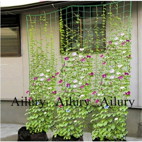 Shelf Planting Climbing Shelf Plant Climbing Net Passion Fruit Gardening Net Family Stand Dedicated Net Stand