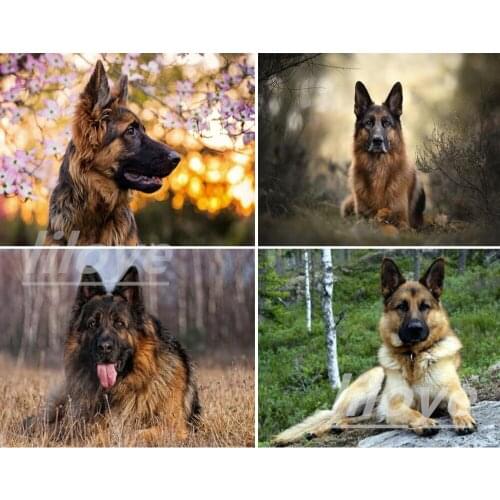 Dog Full Square/Round 5D DIY Diamond Painting German Shepherd Pictures 3D Embroidery Mosaic Cross Stich Kit Stickers Decor DF532